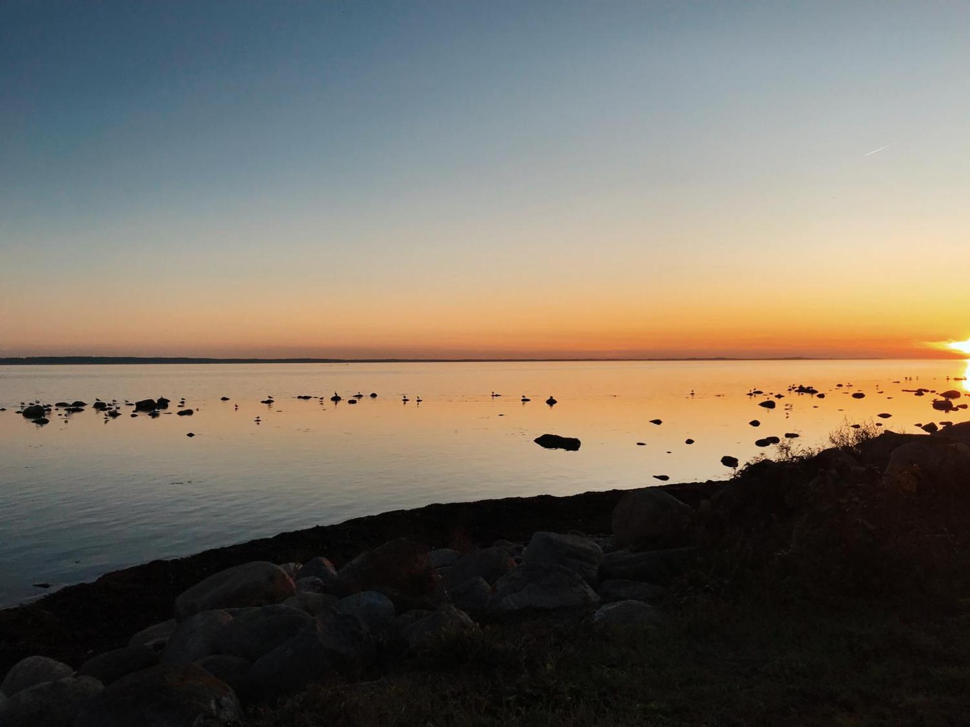 Beach Camp Höganäs Eksteriør billede
