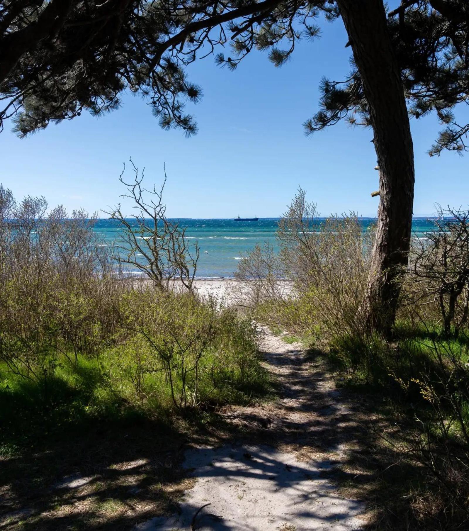 Beach Camp Höganäs Eksteriør billede